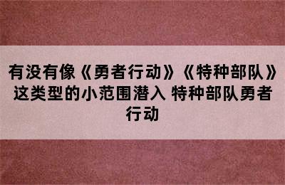 有没有像《勇者行动》《特种部队》这类型的小范围潜入 特种部队勇者行动